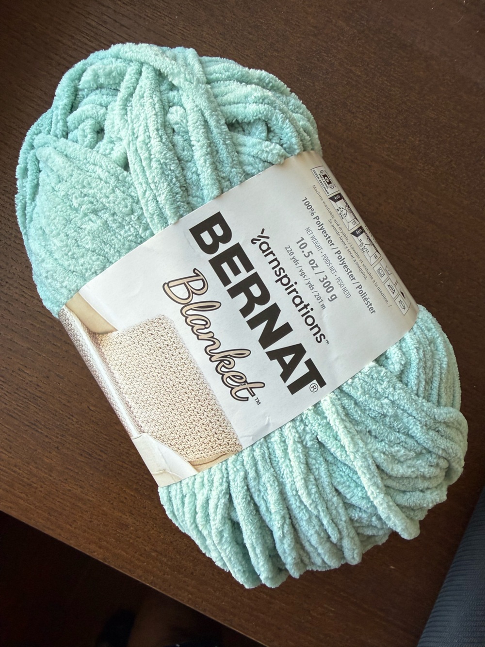 Bernat Blanket Plush Yarn - Bright Sage